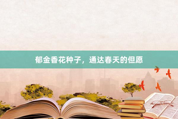 郁金香花种子,通达春天的但愿