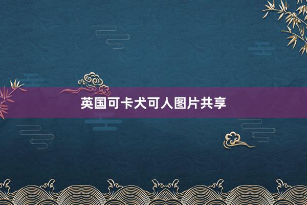 英国可卡犬可人图片共享