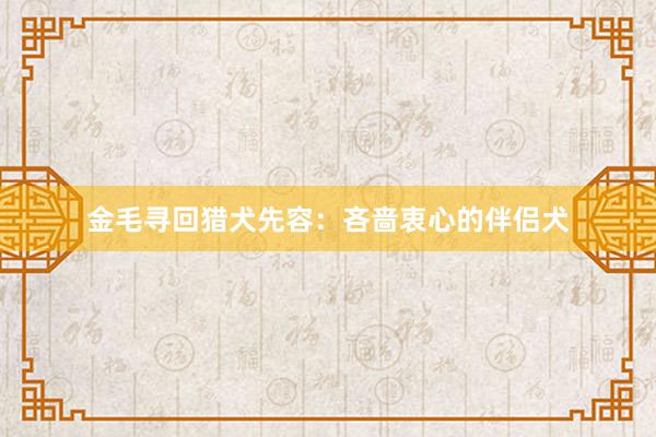 金毛寻回猎犬先容：吝啬衷心的伴侣犬