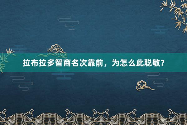 拉布拉多智商名次靠前,为怎么此聪敏?